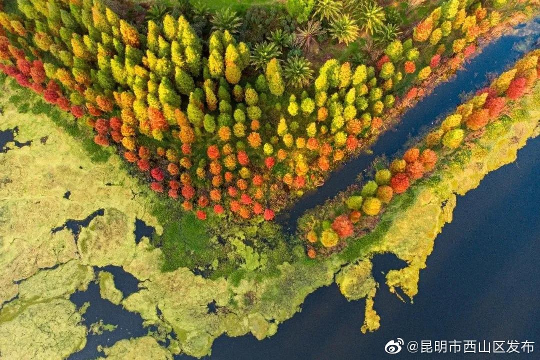 “昆明市西山区发布”微博