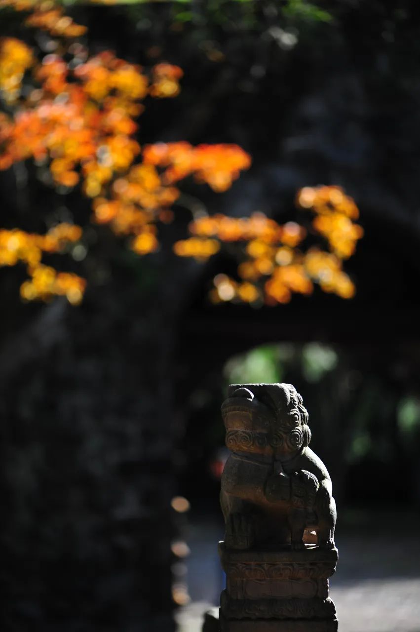 昆明市金殿名胜区