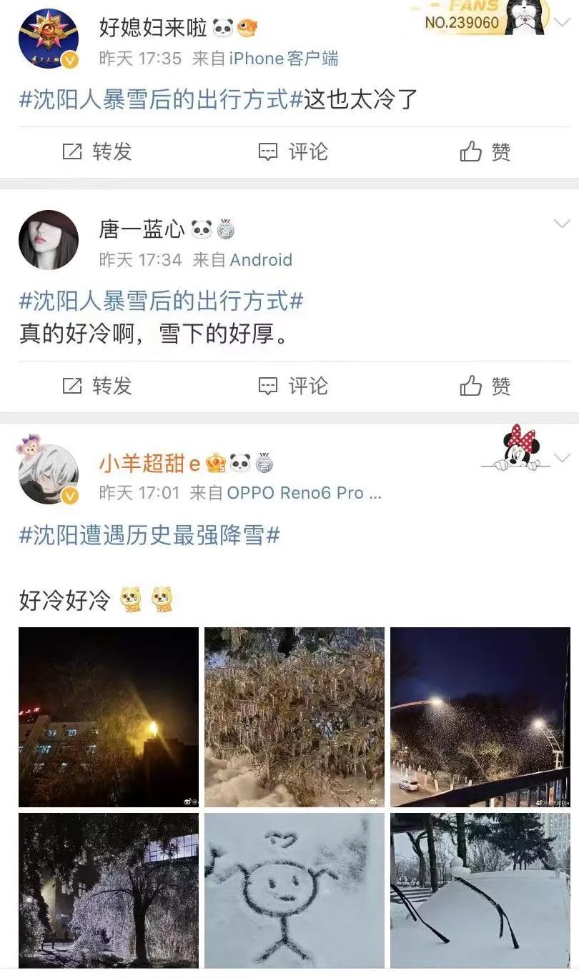 掌上春城
