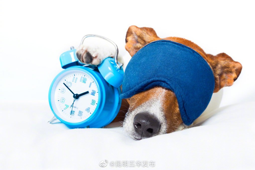 眼科专家：别戴着蒸汽眼罩睡觉 