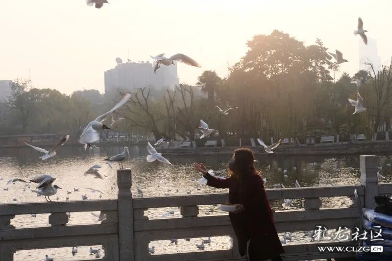 昆明信息港