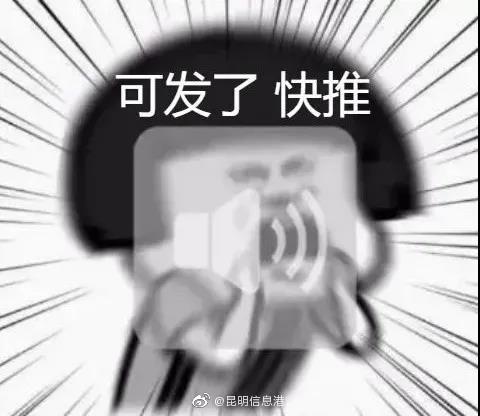 昆明信息港