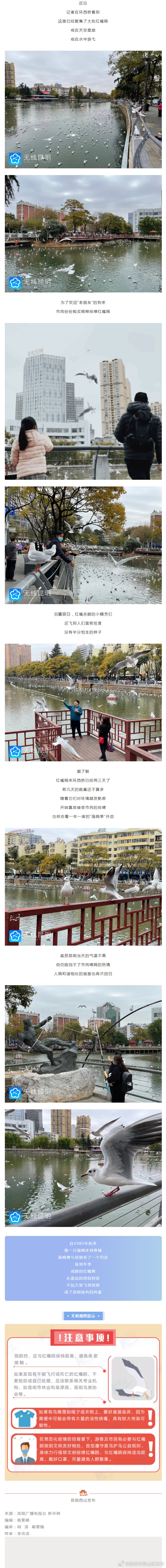 “昆明市西山区发布”微博