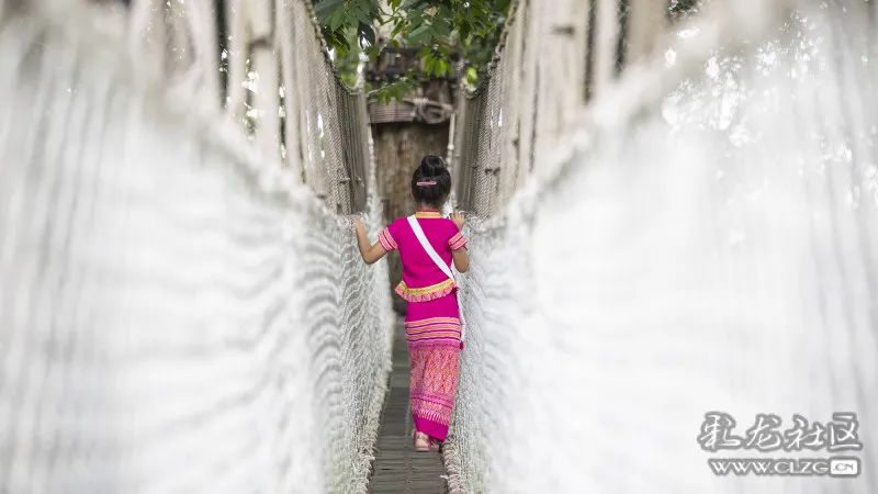 西双版纳望天树景区