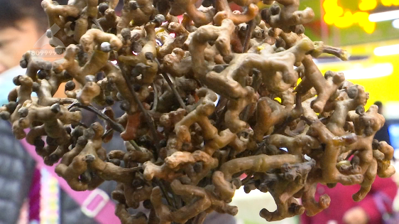 昆明信息港