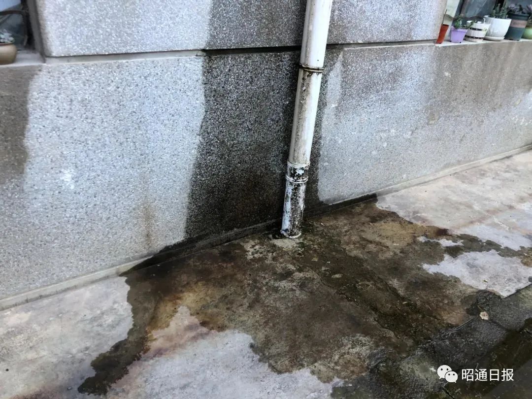 昭通日报