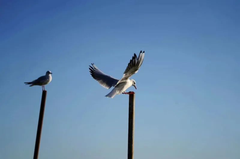 昆明滇池国家旅游度假区管理委员会(微信)