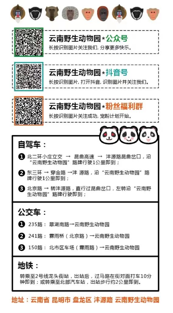 云南野生动物园(微信)