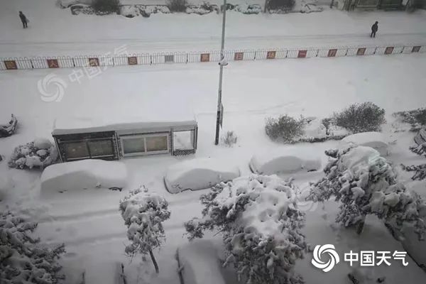 掌上春城