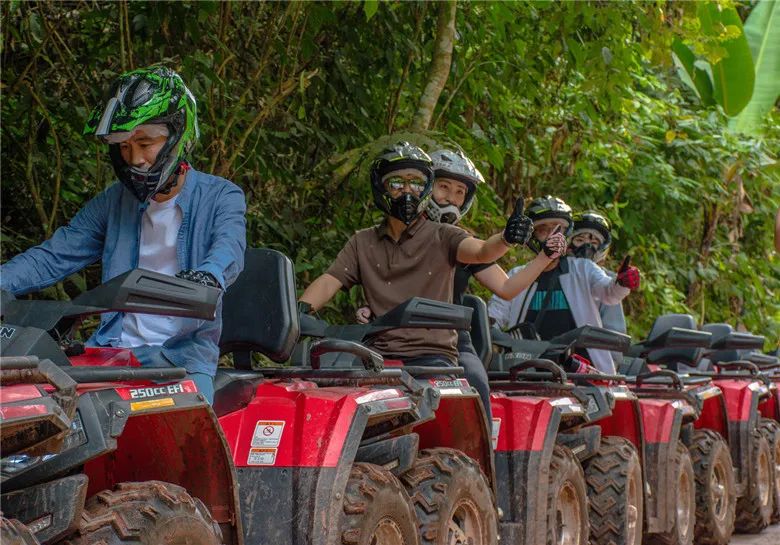 西双版纳望天树景区