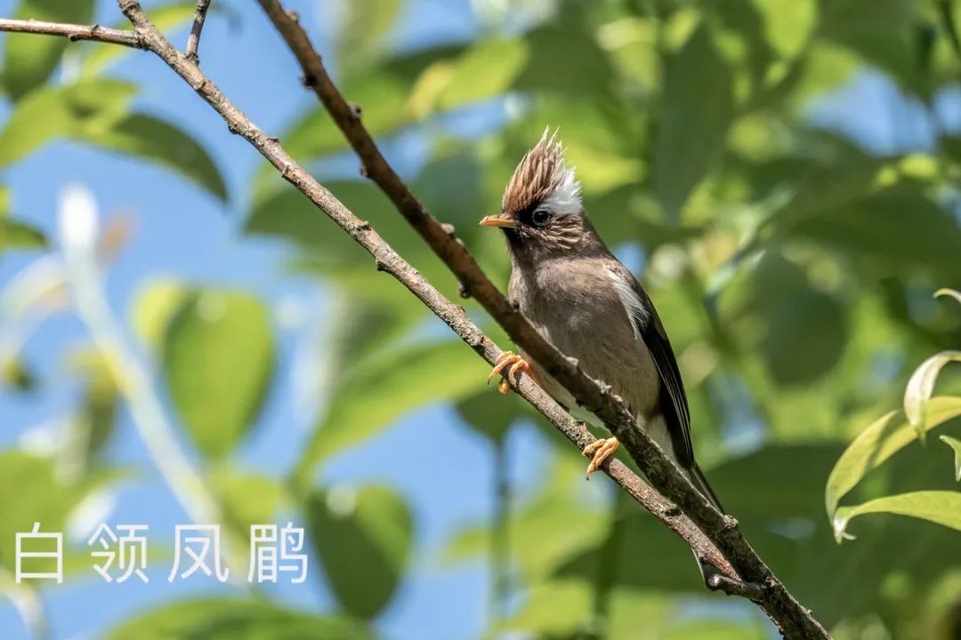 保山广播电视台(微信)
