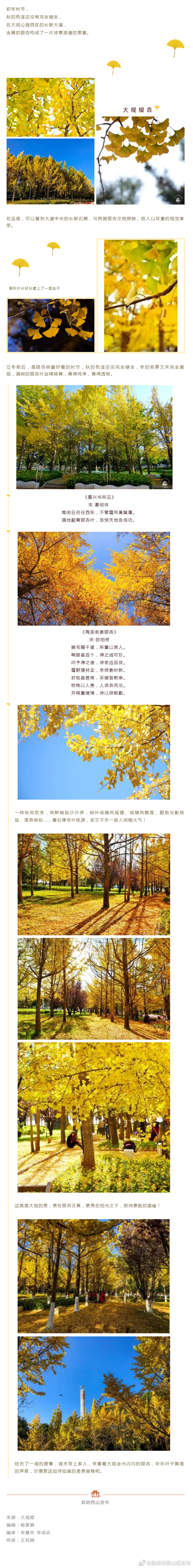 “昆明市西山区发布”微博