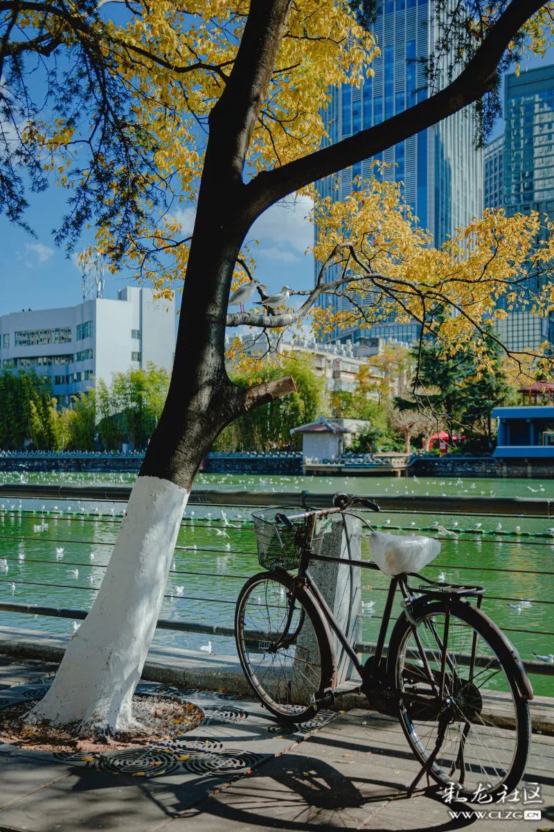 昆明信息港/cnkmxxg