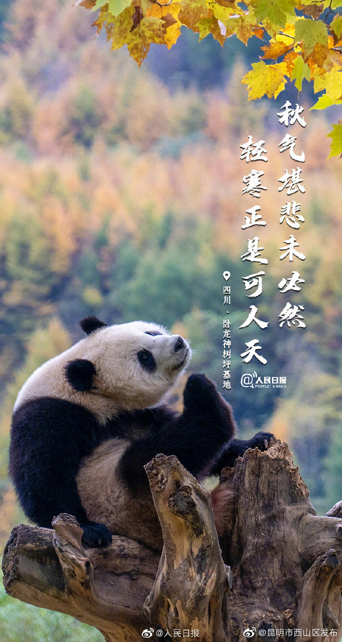 “昆明市西山区发布”微博