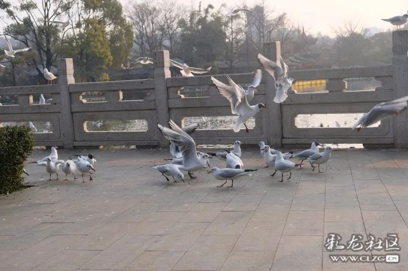 昆明信息港