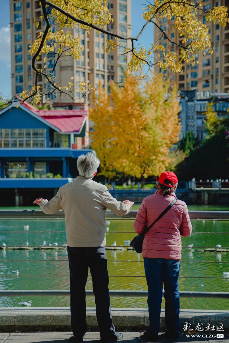 昆明信息港/cnkmxxg