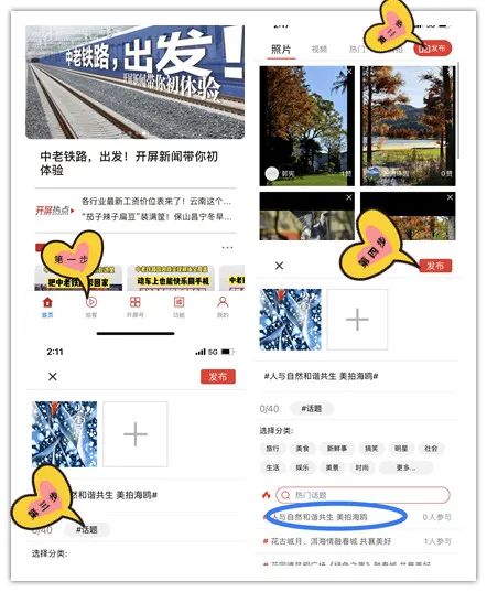 春城晚报