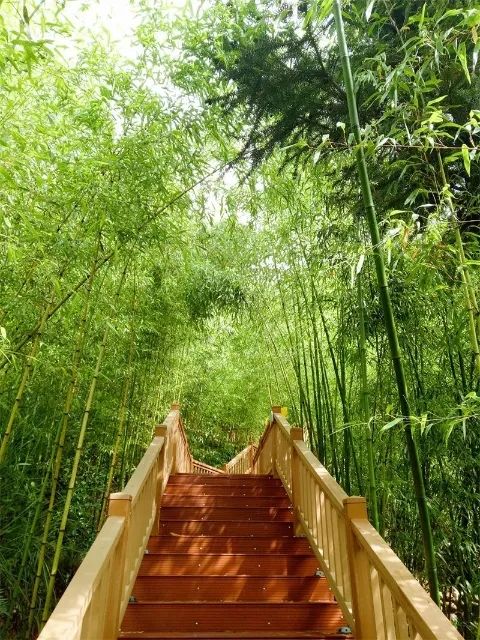 红河文旅