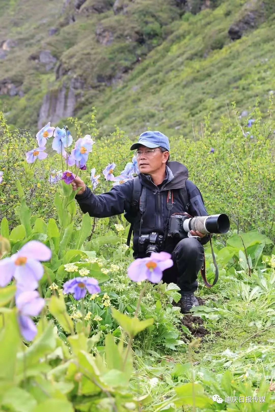 迪庆日报传媒(微信)