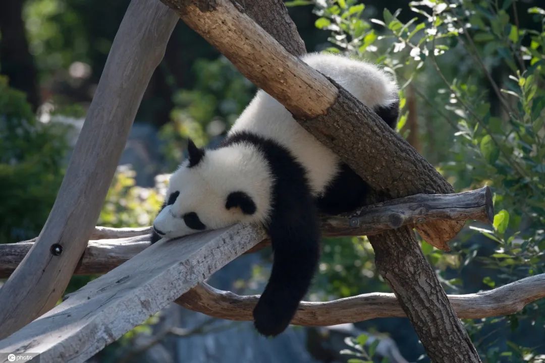 昆明动物园