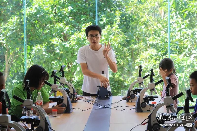 西双版纳望天树景区