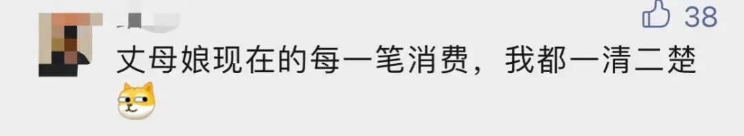 掌上春城