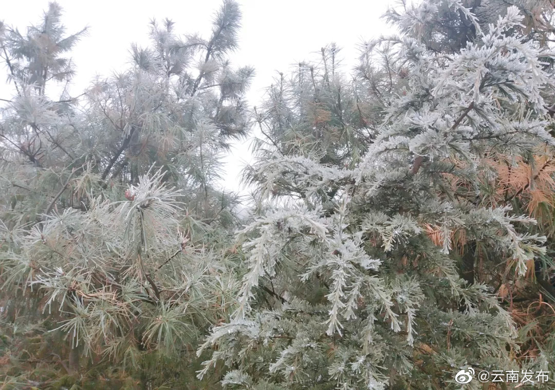 “云南发布”微博