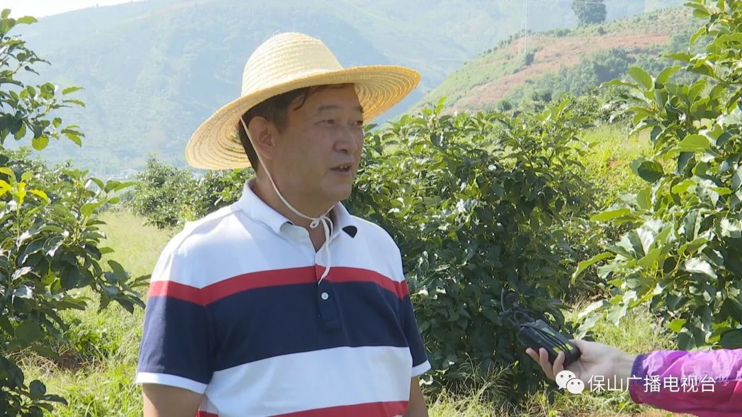 保山广播电视台(微信)