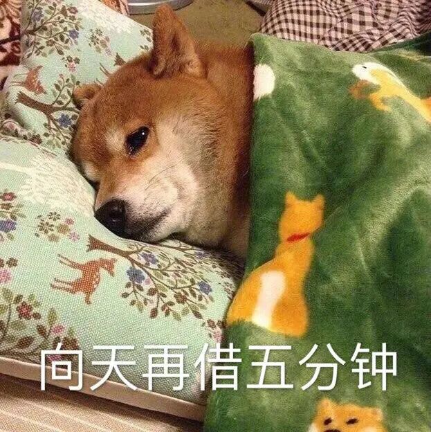 昆明动物园