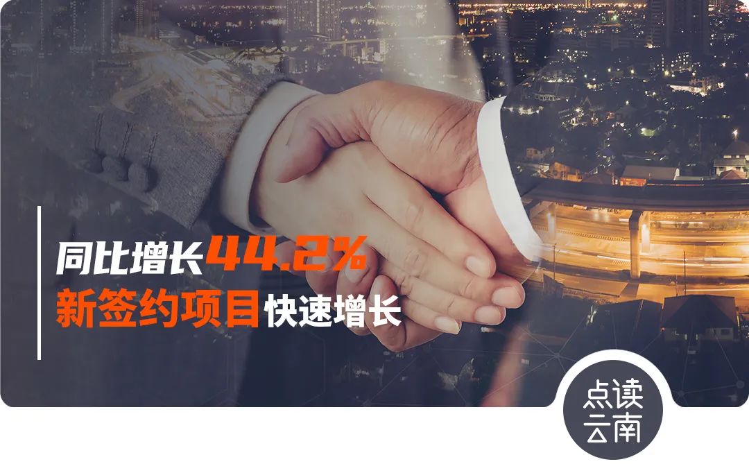 云南省人民政府网