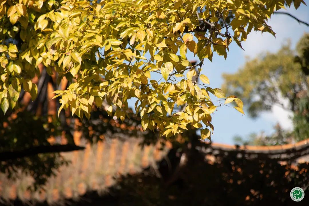 昆明动物园