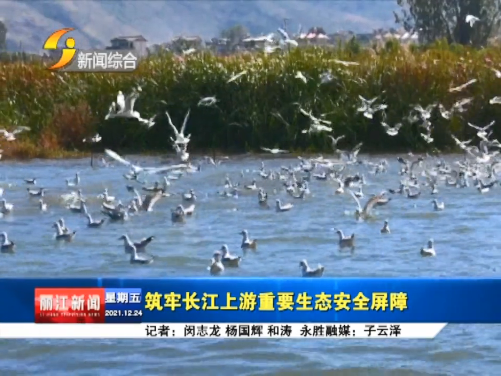 丽江新闻