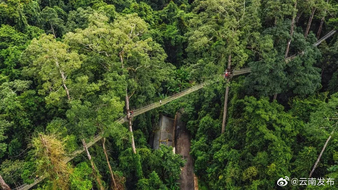 凭中老铁路车票云南多家A级景区可免票