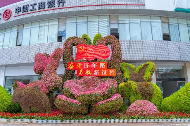 盘龙共青团