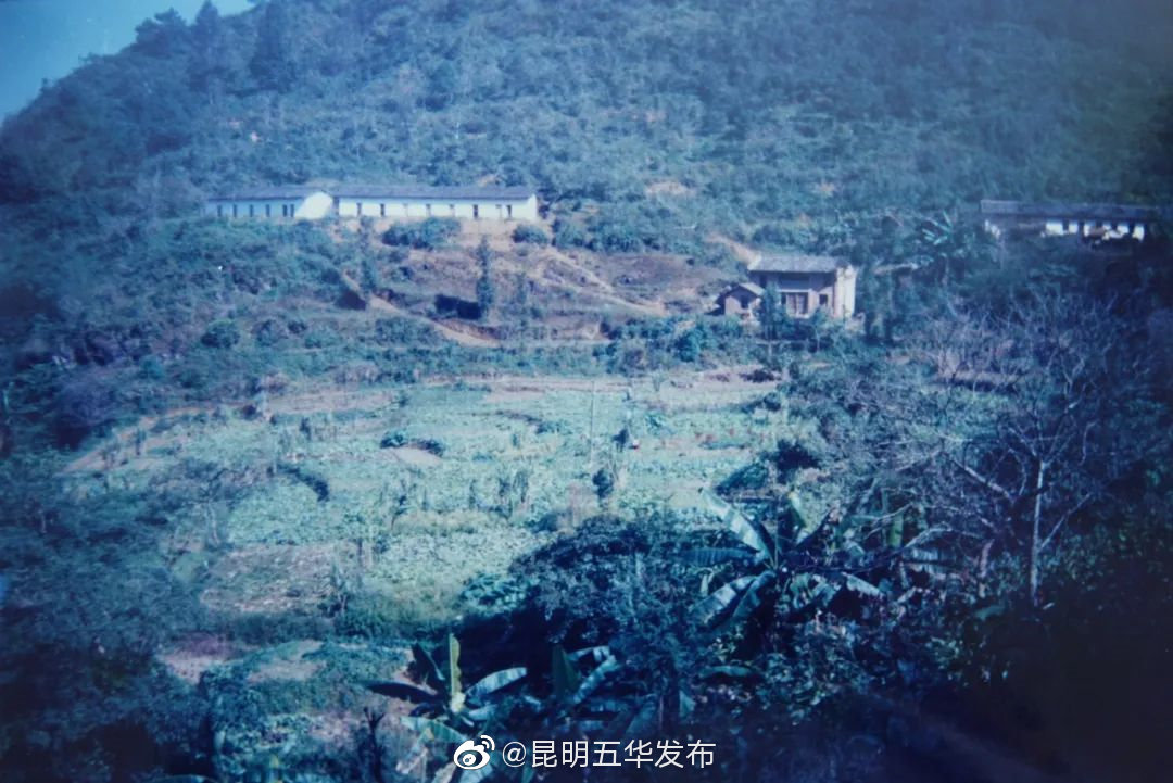 “昆明五华发布”微博