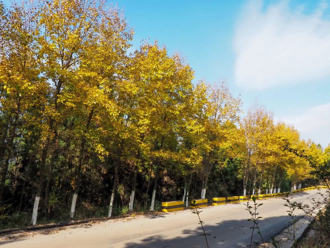红河文旅