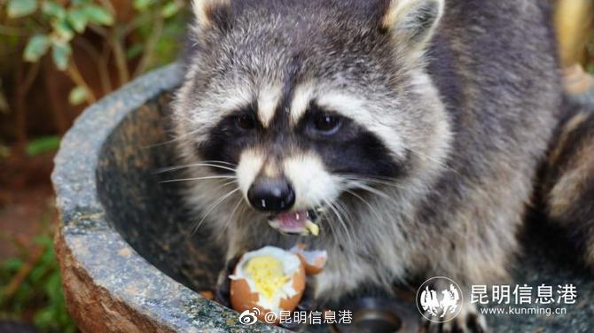 昆明信息港