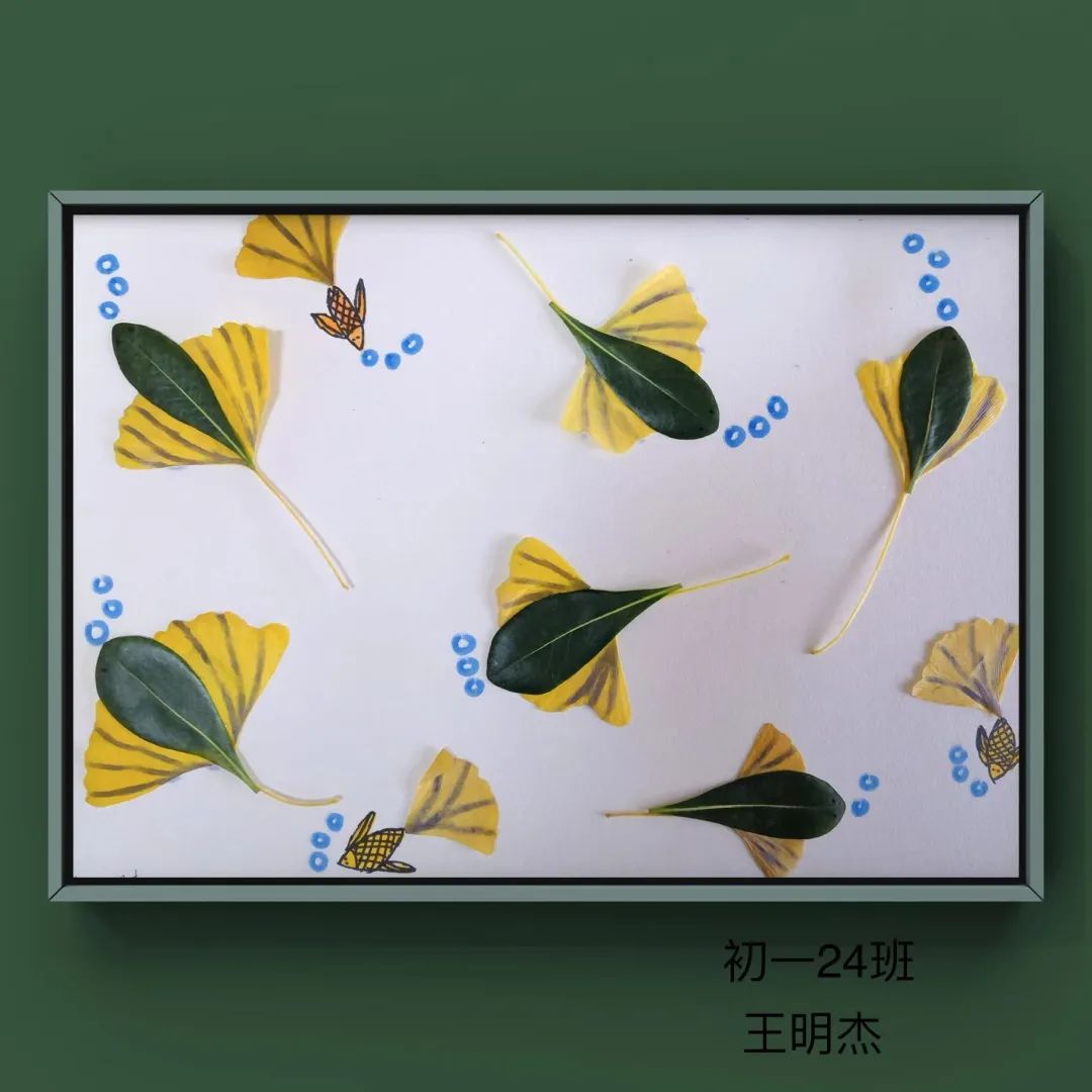 盘龙教育(微信)