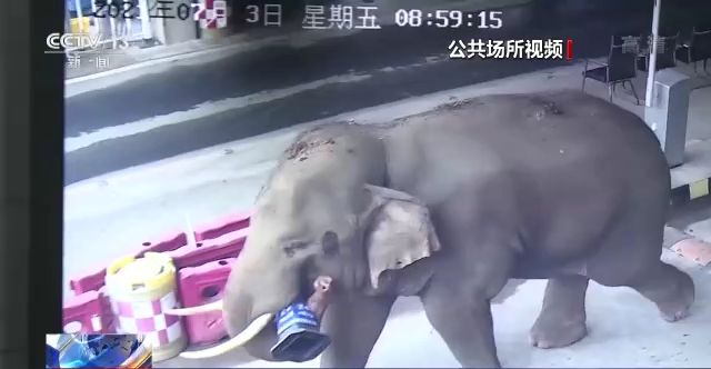 昆明信息港/cnkmxxg