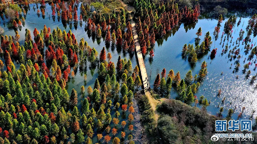 “云南发布”微博