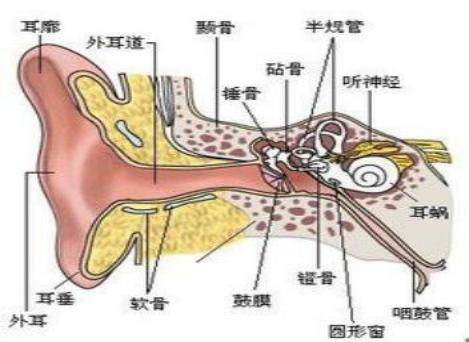 云南省中医医院