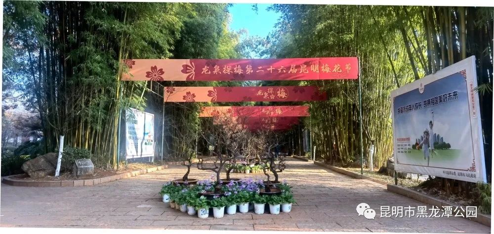 昆明市黑龙潭公园