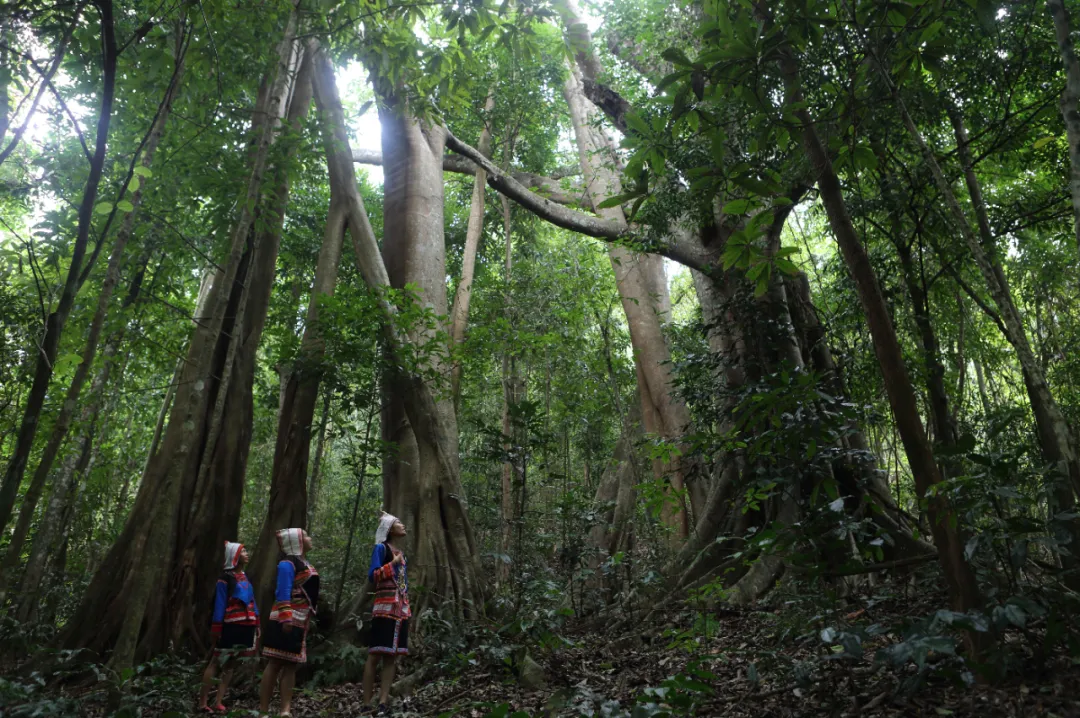 保山广播电视台
