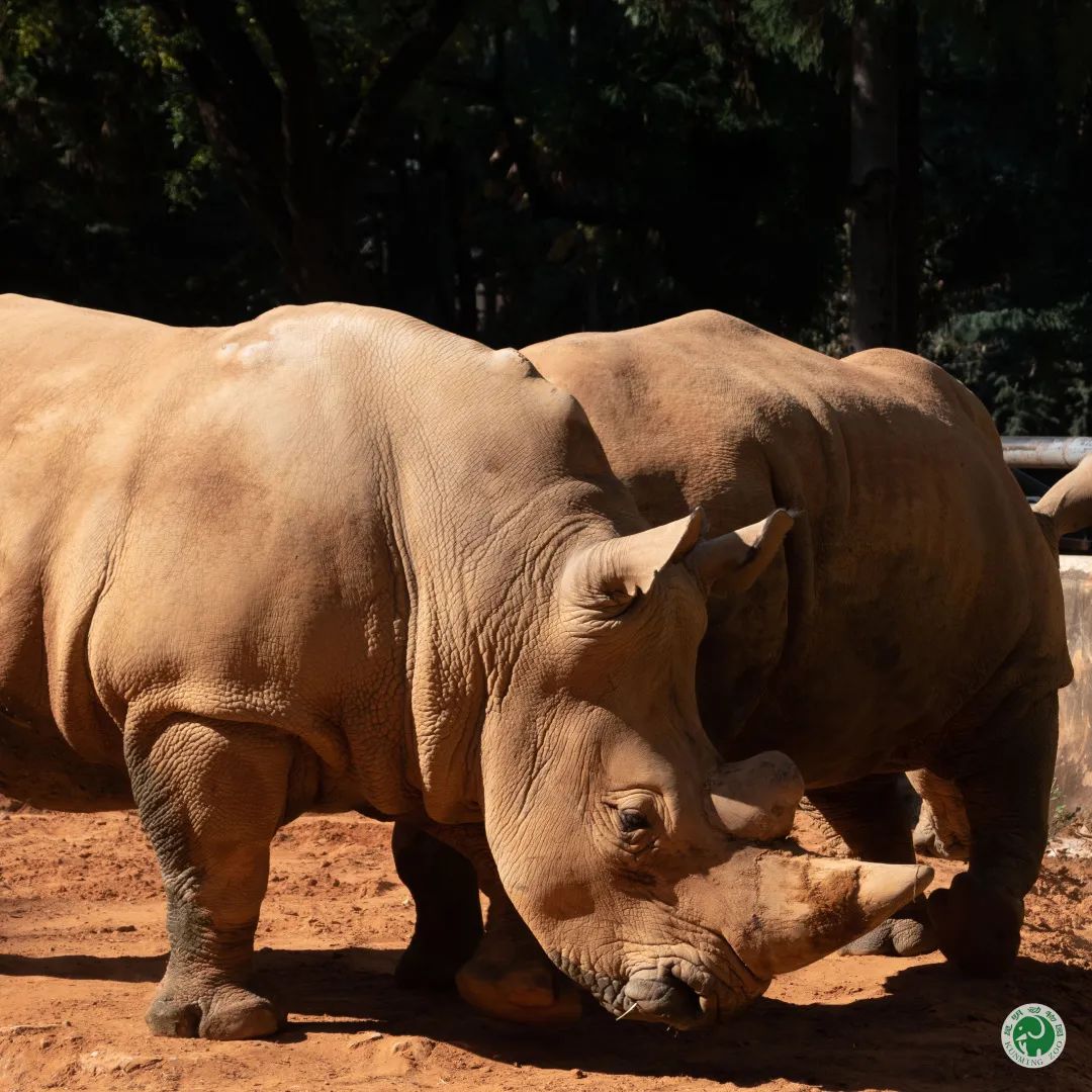 昆明动物园