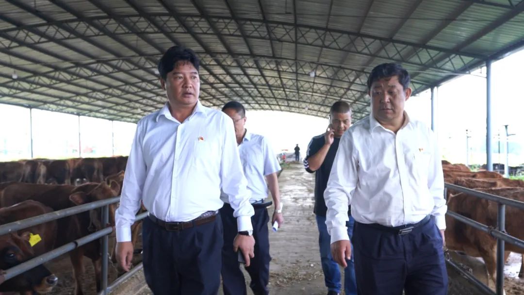 丽江日报