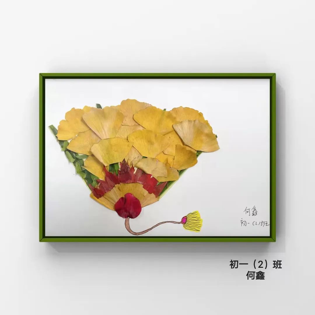 盘龙教育(微信)