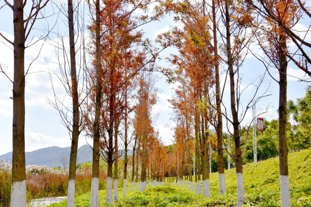 红河文旅