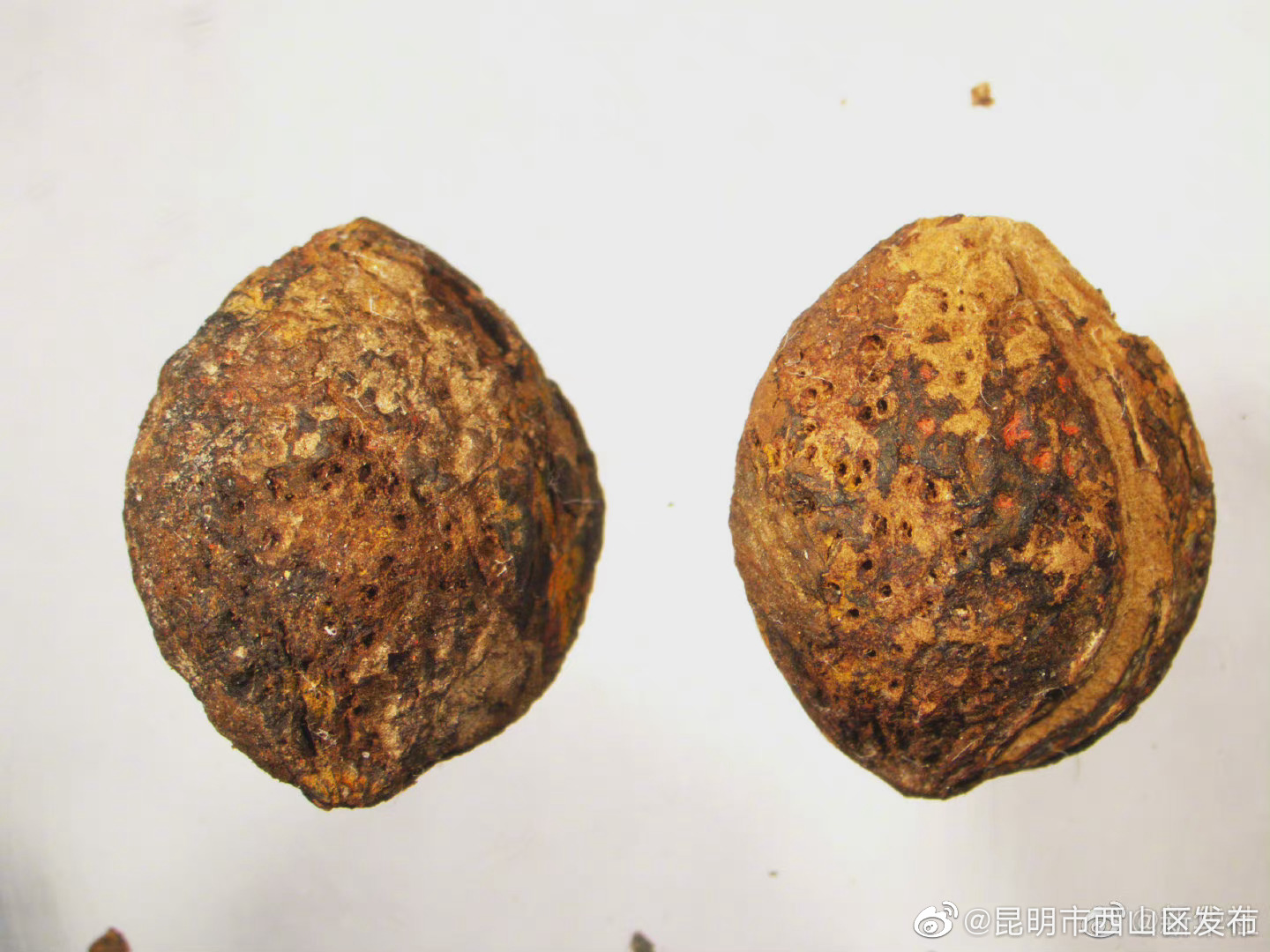 “昆明市西山区发布”微博