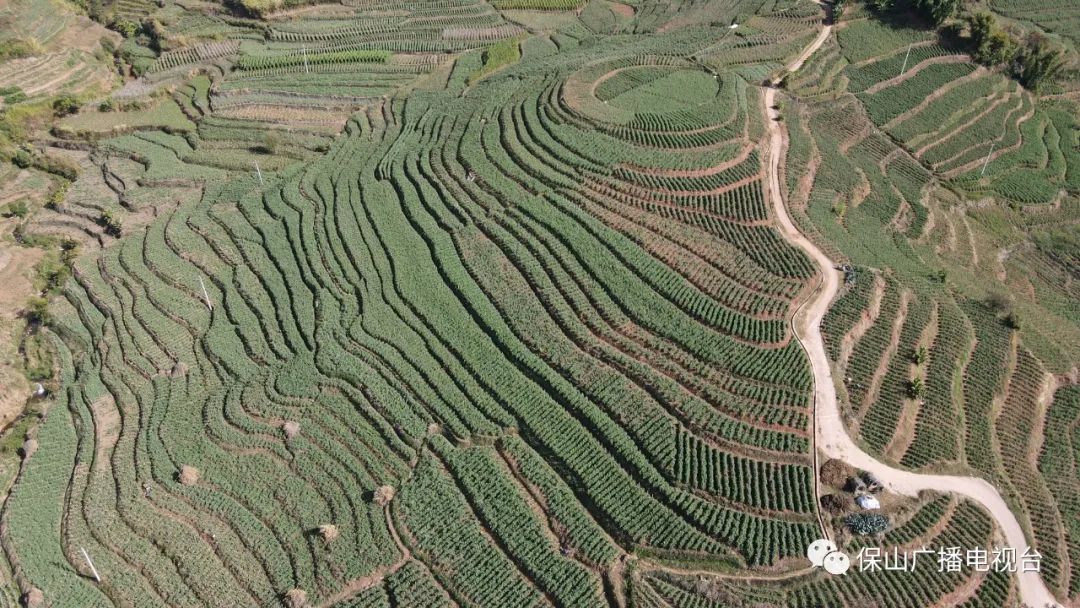 保山广播电视台