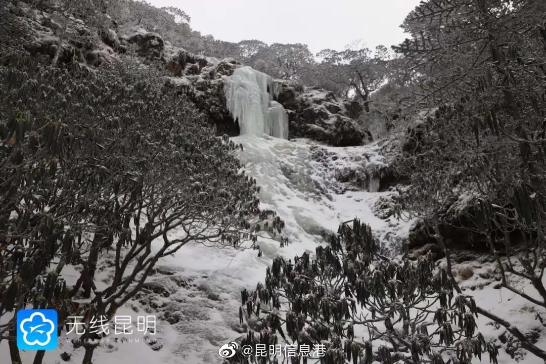 昆明信息港